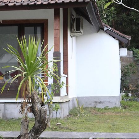 Coconut Beach Bungalows & Warung 2 آميدْ المظهر الخارجي الصورة