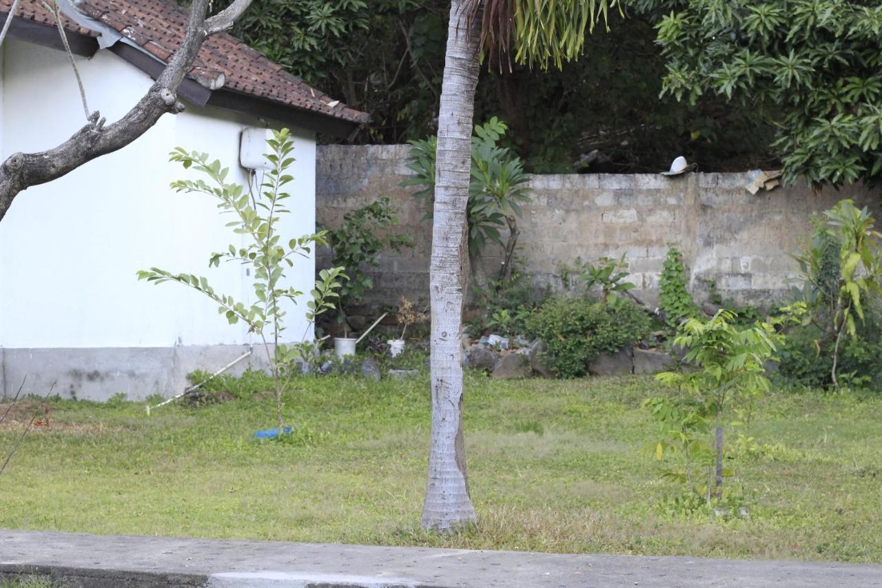 Coconut Beach Bungalows & Warung 2 آميدْ المظهر الخارجي الصورة